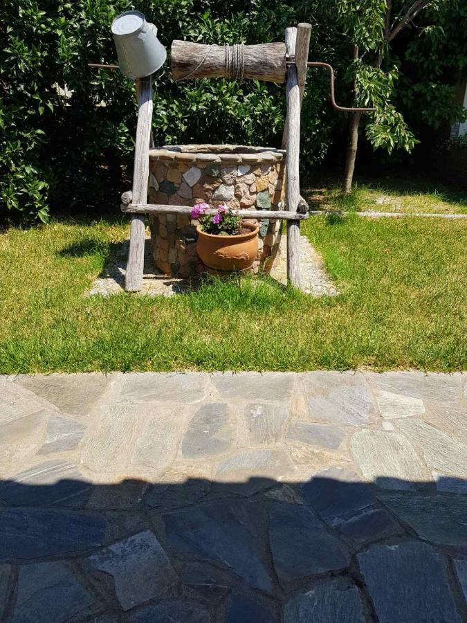 Lemon Flowers Apartments Νέα Σκιώνη Εξωτερικό φωτογραφία